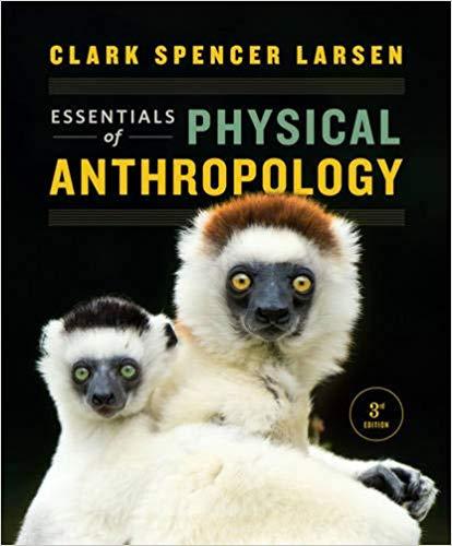 Essentials Of Physical Anthropology 3Rd