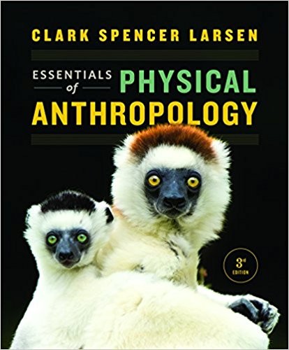 Essentials of Physical Anthropology Third