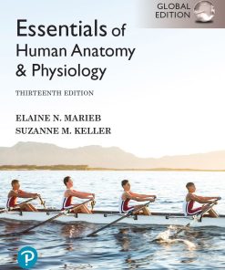 Essentials of Human Anatomy and Physiology 13th 13E Elaine Marieb