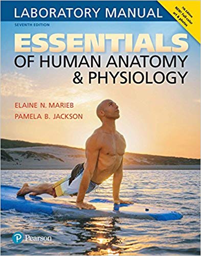 Essentials of Human Anatomy 038 Physiology Laboratory Manual 7th