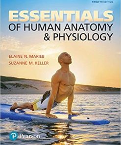 Essentials of Human Anatomy 038 Physiology 12th