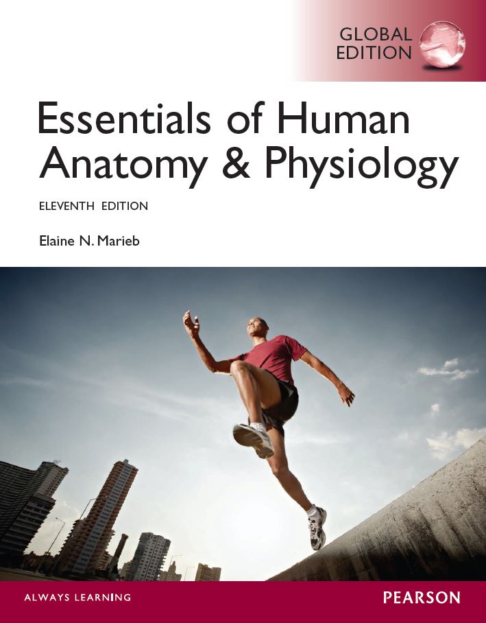 Essentials of Anatomy ampamp Physiology Global 11th 11E Elaine Marieb