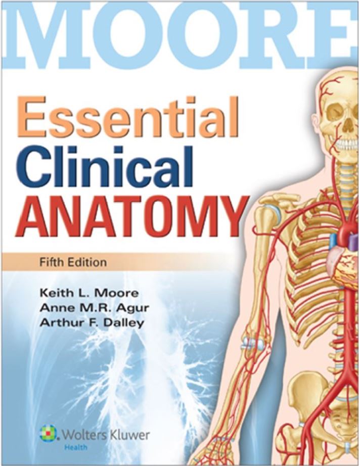 Essential Clinical Anatomy 5th 5E Keith Moore