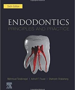 Endodontics Principles and Practice 6th