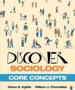 Discover Sociology Core Concepts