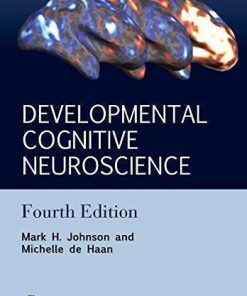 Developmental Cognitive Neuroscience An Introduction 4Th