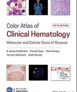 Color Atlas of Clinical Hematology 5th 5E A Hoffbrand