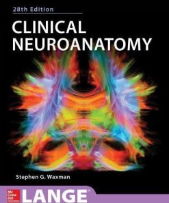 Clinical Neuroanatomy 28Th