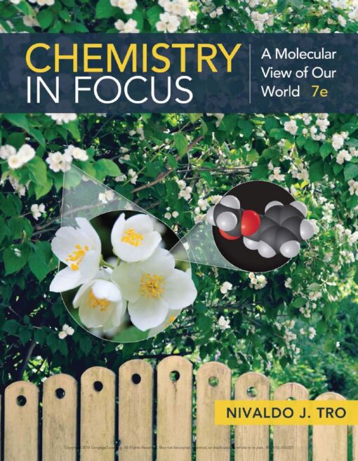Chemistry in Focus A Molecular View of Our World 7th 7E