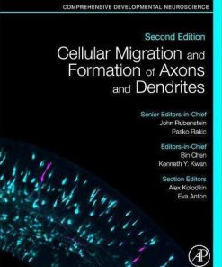 Cellular Migration And Formation Of Axons And Dendrites Comprehensive Developmental Neuroscience 2Nd