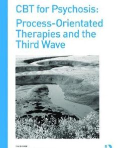 Cbt For Psychosis Process Orientated Therapies And The Third Wave
