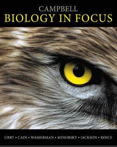 Campbell Biology in Focus 1st 1E Lisa Urry