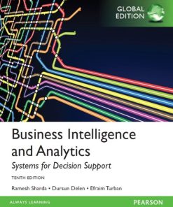 Business Intelligence and Analytics 10th 10E