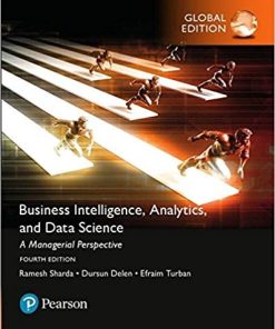 Business Intelligence A Managerial Approach 4th Global