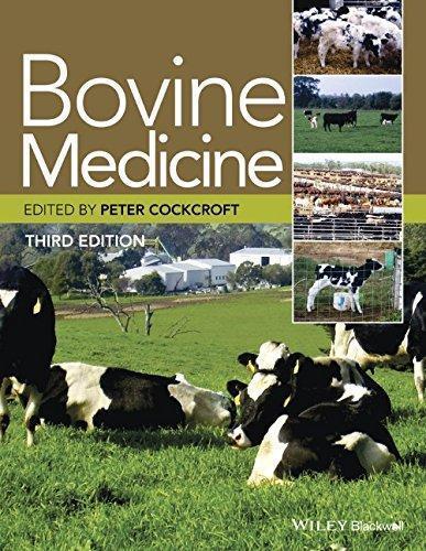 Bovine Medicine 3Rd