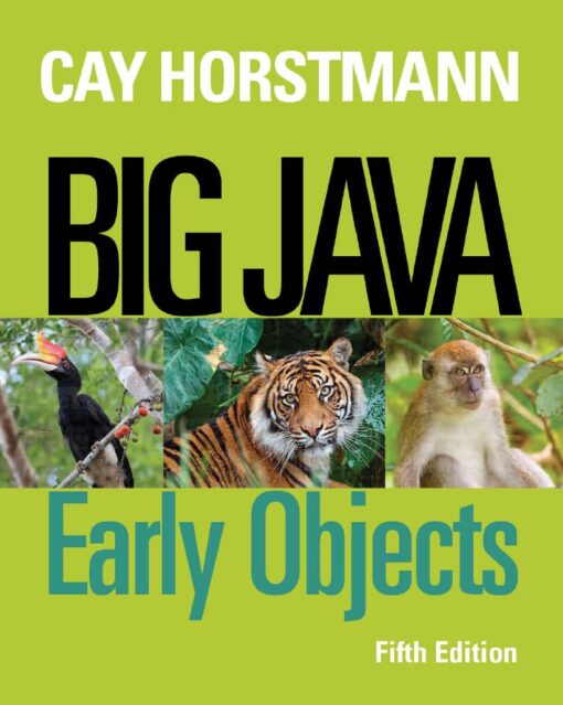 Big Java 5th 5E Cay Horstmann