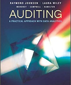 Auditing A Practical Approach with Data Analytics by Raymond N Johnson
