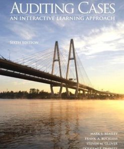 Auditing Cases An Interactive Learning Approach 6Th