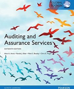 Auditing and Assurance Services Global 16th