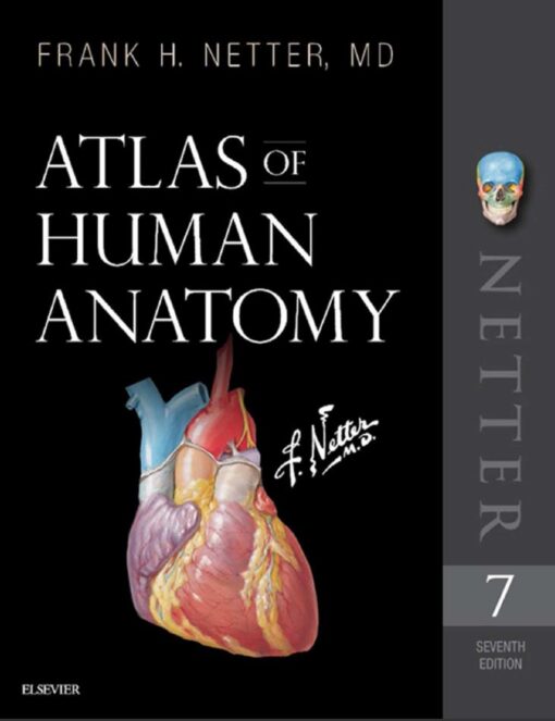 Atlas of Human Anatomy 7th 7E Frank Netter