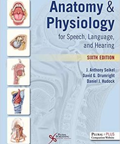 Anatomy Physiology For Speech Language And Hearing