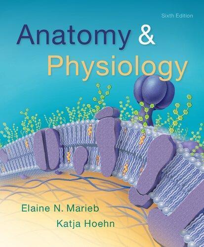 Anatomy Physiology 6Th