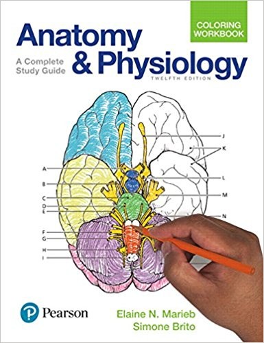 Anatomy and Physiology Coloring Workbook 12th