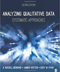Analyzing Qualitative Data Systematic Approaches 2Nd