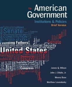 American Government Institutions And Policies Brief 13Th
