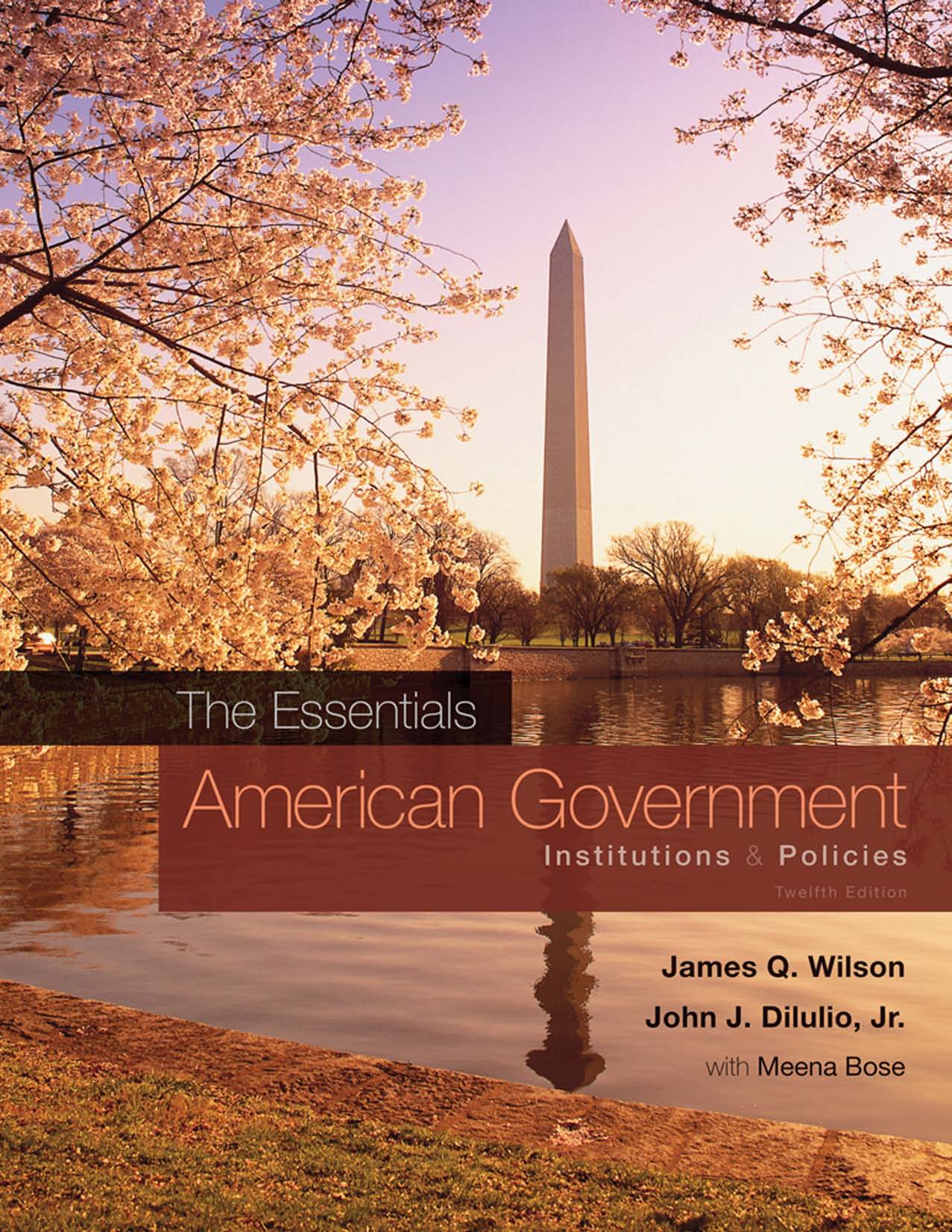 The Essentials Of American Government Institutions Policies 12Th