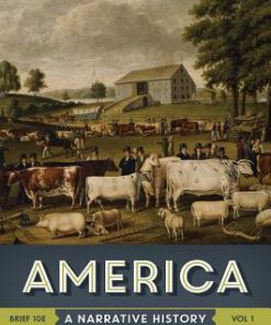 America A Narrative History Vol 1 10Th