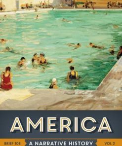 America A Narrative History Brief Volume 2 10Th