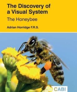 The Discovery Of A Visual System The Honeybee