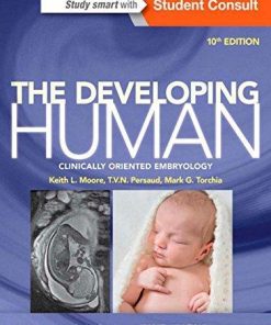 The Developing Human Clinically Oriented Embryology 10E 10Th