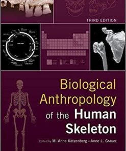 Biological Anthropology Of The Human Skeleton 3Rd