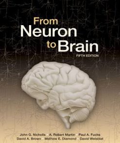 From Neuron To Brain 5th
