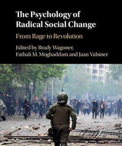 The Psychology Of Radical Social Change From Rage To Revolution