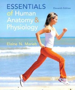 Essentials Of Human Anatomy Physiology 11Th