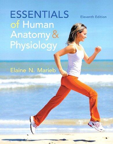 Essentials Of Human Anatomy Physiology 11Th
