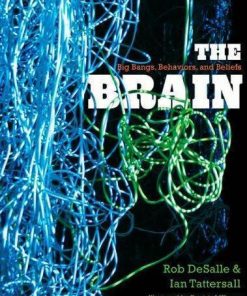 The Brain Big Bangs Behaviors And Beliefs