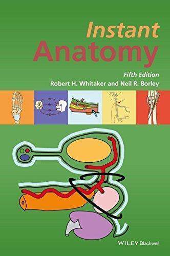Instant Anatomy 5Th