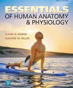 Essentials Of Human Anatomy Physiology 12Th