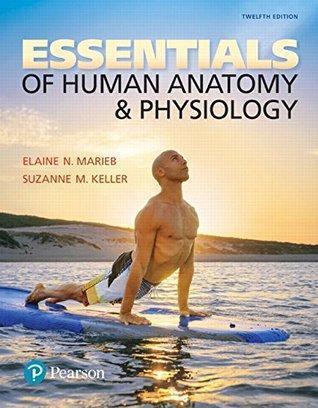 Essentials Of Human Anatomy Physiology 12Th