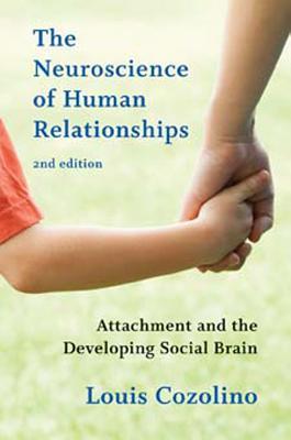The Neuroscience Of Human Relationships Attachment And The Developing Social Brain 2Nd
