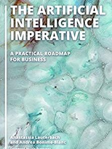 The Artificial Intelligence Imperative A Practical Roadmap for Business
