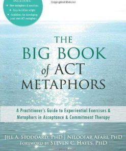 The Big Book Of Act Metaphors A Practitioners Guide To Experiential Exercises And Metaphors In Acceptance And Commitment Therapy
