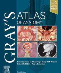 Grays Atlas Of Anatomy Grays Anatomy 3Rd