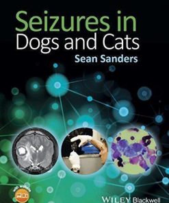 Seizures In Dogs And Cats