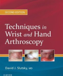 Techniques In Wrist And Hand Arthroscopy 2Nd
