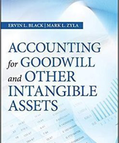 Accounting For Goodwill And Other Intangible Assets
